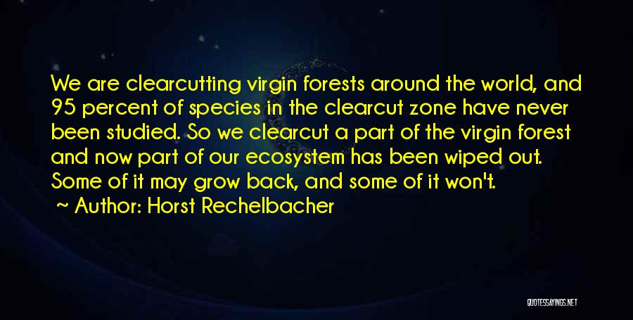 Horst Rechelbacher Quotes: We Are Clearcutting Virgin Forests Around The World, And 95 Percent Of Species In The Clearcut Zone Have Never Been