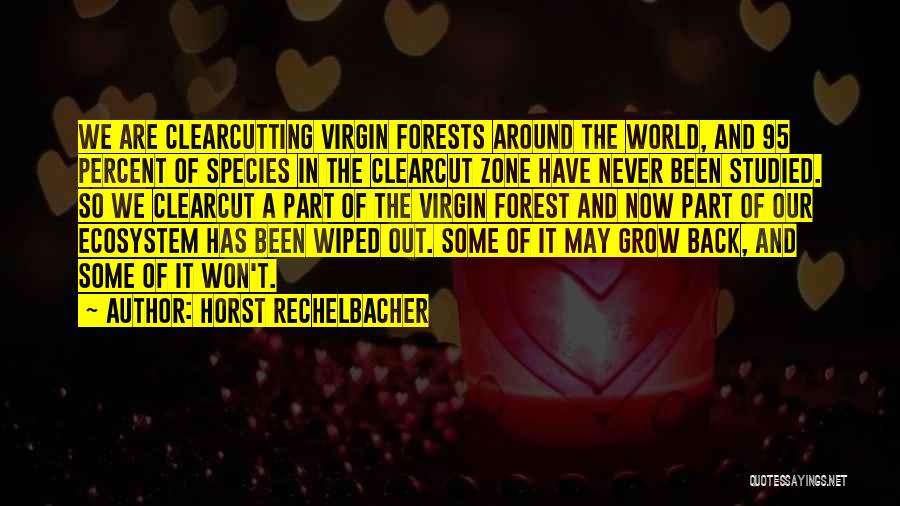 Horst Rechelbacher Quotes: We Are Clearcutting Virgin Forests Around The World, And 95 Percent Of Species In The Clearcut Zone Have Never Been