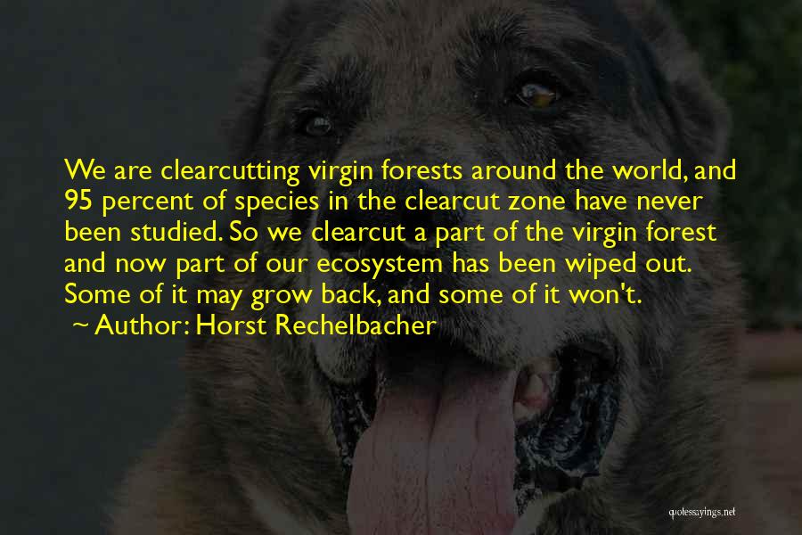 Horst Rechelbacher Quotes: We Are Clearcutting Virgin Forests Around The World, And 95 Percent Of Species In The Clearcut Zone Have Never Been