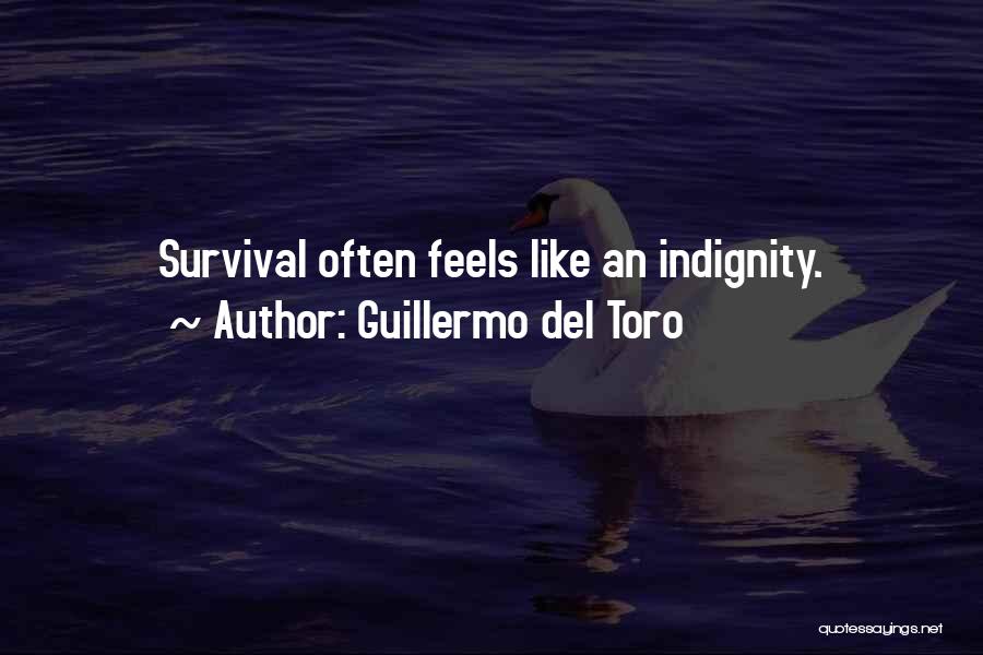 Guillermo Del Toro Quotes: Survival Often Feels Like An Indignity.
