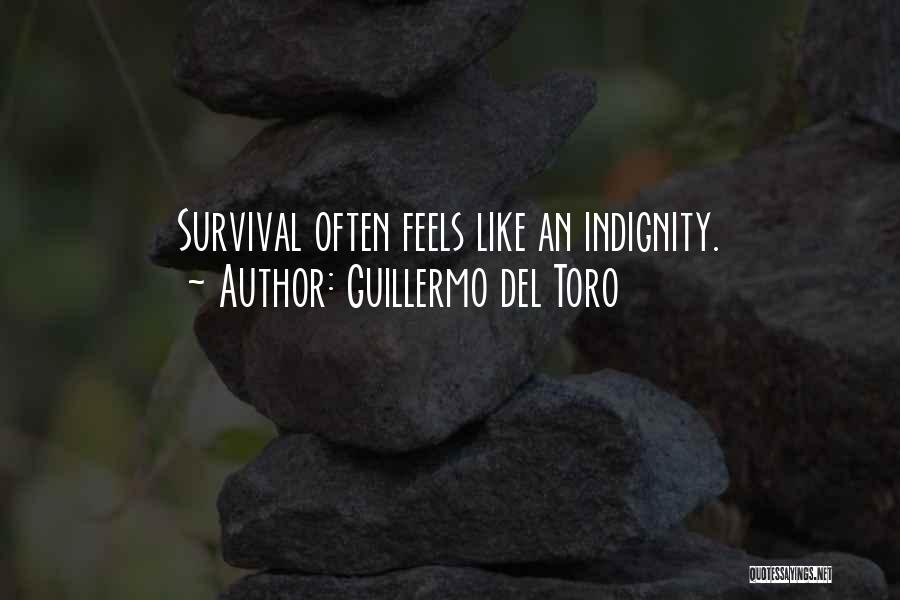 Guillermo Del Toro Quotes: Survival Often Feels Like An Indignity.