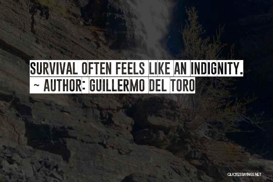Guillermo Del Toro Quotes: Survival Often Feels Like An Indignity.