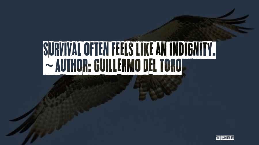 Guillermo Del Toro Quotes: Survival Often Feels Like An Indignity.