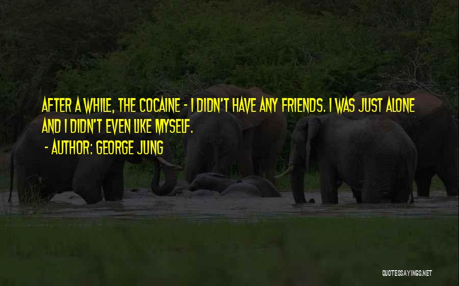 George Jung Quotes: After A While, The Cocaine - I Didn't Have Any Friends. I Was Just Alone And I Didn't Even Like