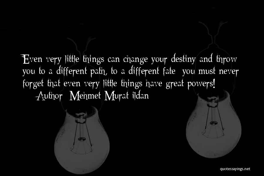 Mehmet Murat Ildan Quotes: Even Very Little Things Can Change Your Destiny And Throw You To A Different Path, To A Different Fate; You