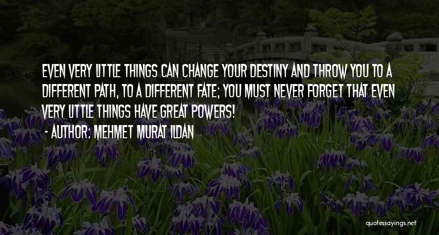 Mehmet Murat Ildan Quotes: Even Very Little Things Can Change Your Destiny And Throw You To A Different Path, To A Different Fate; You