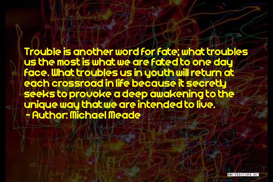 Michael Meade Quotes: Trouble Is Another Word For Fate; What Troubles Us The Most Is What We Are Fated To One Day Face.