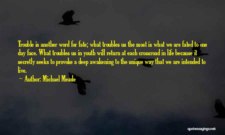 Michael Meade Quotes: Trouble Is Another Word For Fate; What Troubles Us The Most Is What We Are Fated To One Day Face.