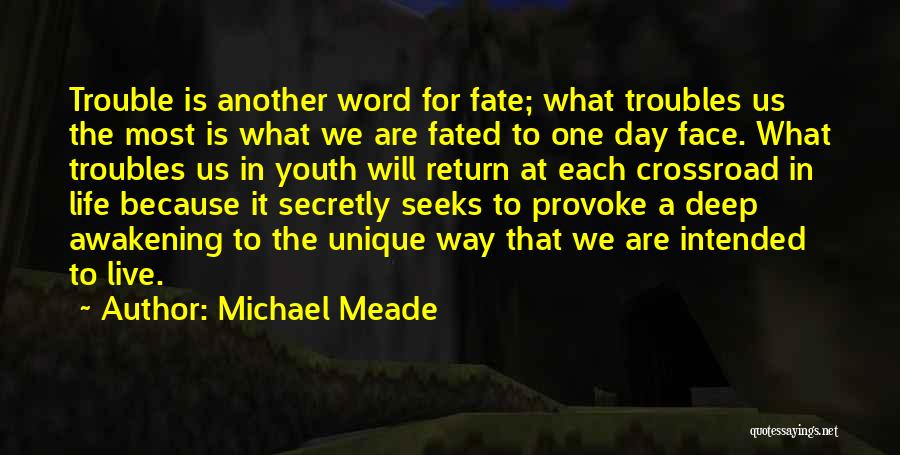 Michael Meade Quotes: Trouble Is Another Word For Fate; What Troubles Us The Most Is What We Are Fated To One Day Face.