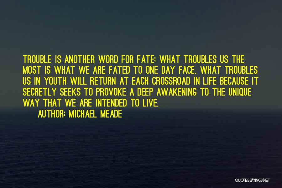 Michael Meade Quotes: Trouble Is Another Word For Fate; What Troubles Us The Most Is What We Are Fated To One Day Face.