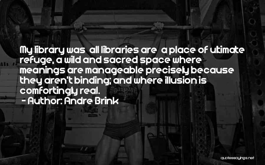 Andre Brink Quotes: My Library Was All Libraries Are A Place Of Ultimate Refuge, A Wild And Sacred Space Where Meanings Are Manageable