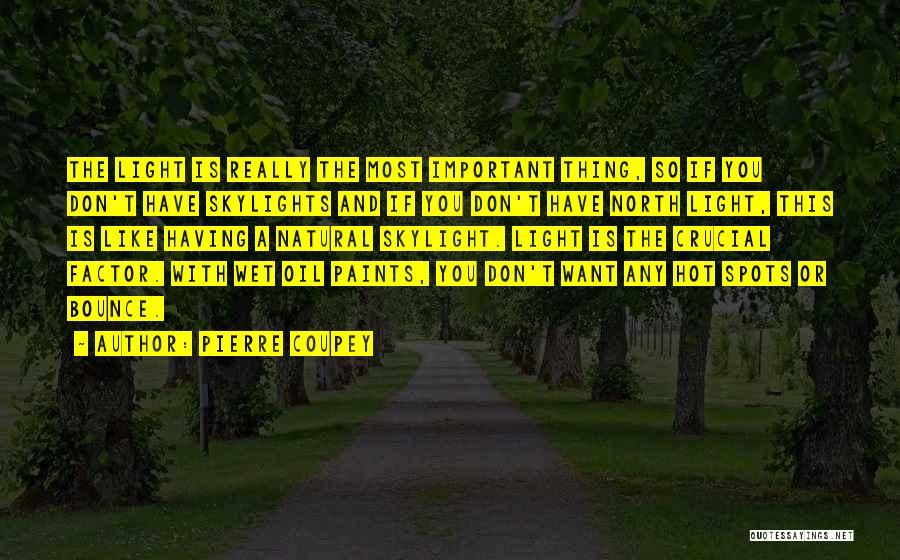 Pierre Coupey Quotes: The Light Is Really The Most Important Thing, So If You Don't Have Skylights And If You Don't Have North