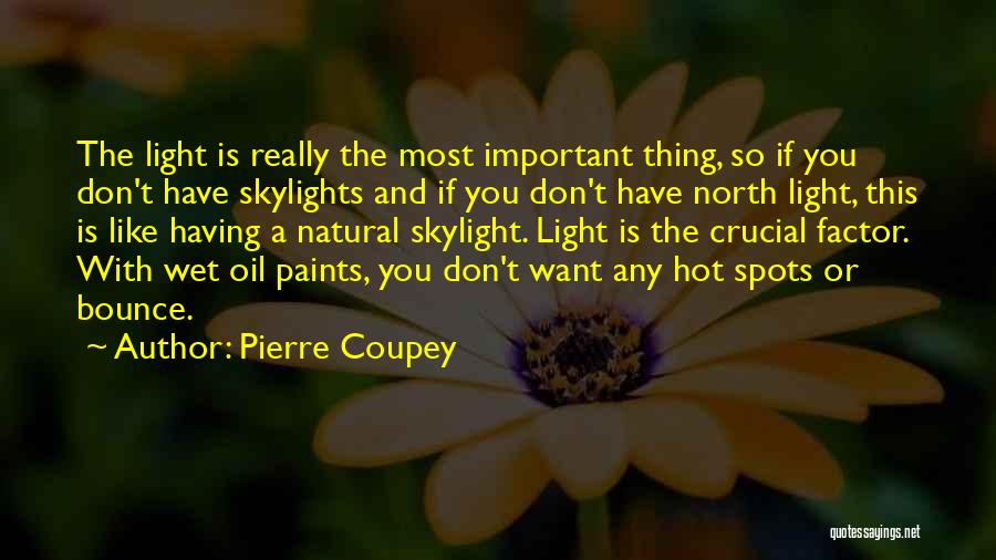 Pierre Coupey Quotes: The Light Is Really The Most Important Thing, So If You Don't Have Skylights And If You Don't Have North