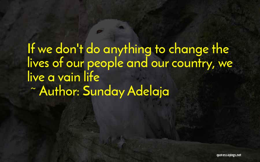 Sunday Adelaja Quotes: If We Don't Do Anything To Change The Lives Of Our People And Our Country, We Live A Vain Life