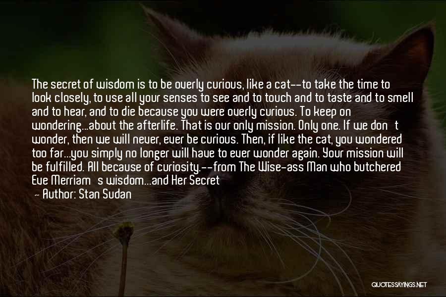 Stan Sudan Quotes: The Secret Of Wisdom Is To Be Overly Curious, Like A Cat--to Take The Time To Look Closely, To Use