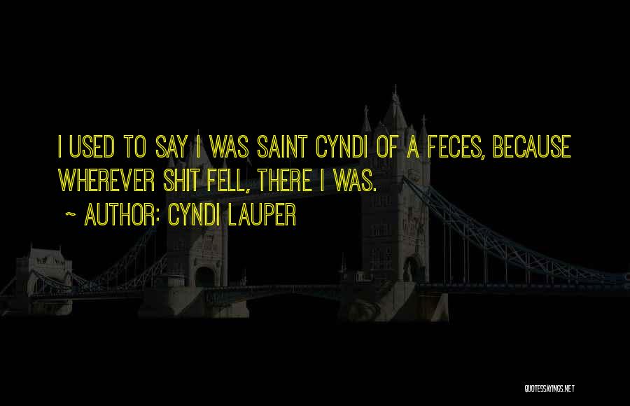 Cyndi Lauper Quotes: I Used To Say I Was Saint Cyndi Of A Feces, Because Wherever Shit Fell, There I Was.