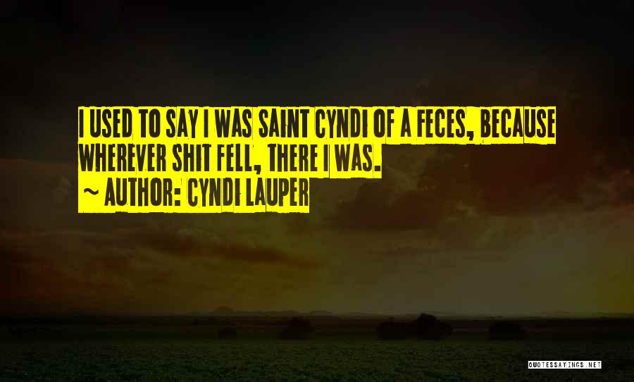 Cyndi Lauper Quotes: I Used To Say I Was Saint Cyndi Of A Feces, Because Wherever Shit Fell, There I Was.