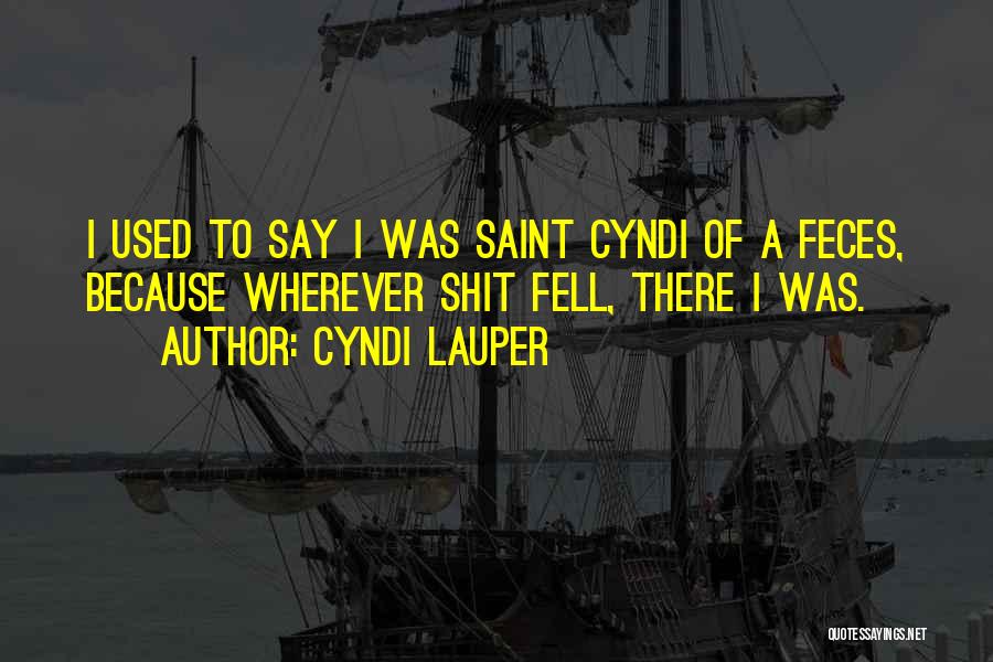 Cyndi Lauper Quotes: I Used To Say I Was Saint Cyndi Of A Feces, Because Wherever Shit Fell, There I Was.