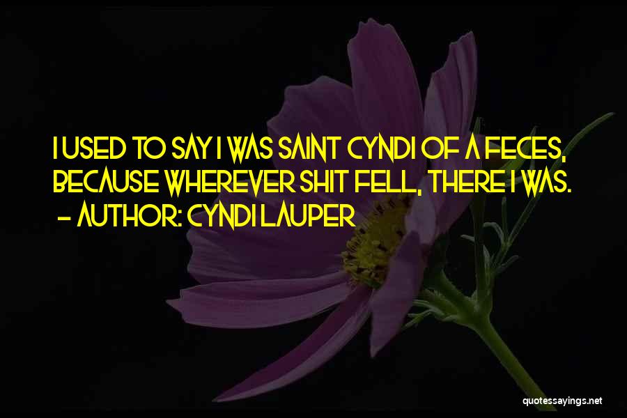 Cyndi Lauper Quotes: I Used To Say I Was Saint Cyndi Of A Feces, Because Wherever Shit Fell, There I Was.