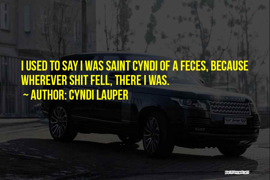 Cyndi Lauper Quotes: I Used To Say I Was Saint Cyndi Of A Feces, Because Wherever Shit Fell, There I Was.