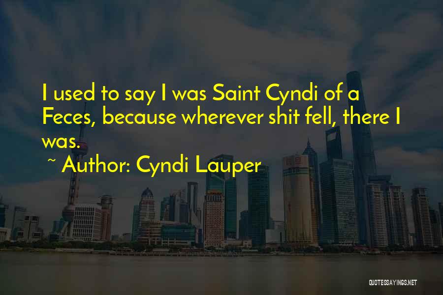 Cyndi Lauper Quotes: I Used To Say I Was Saint Cyndi Of A Feces, Because Wherever Shit Fell, There I Was.