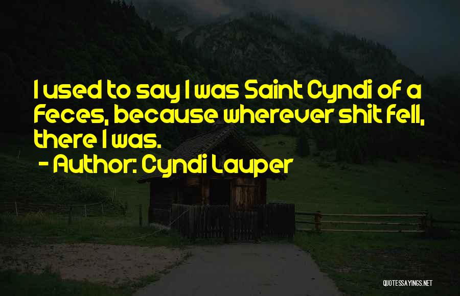 Cyndi Lauper Quotes: I Used To Say I Was Saint Cyndi Of A Feces, Because Wherever Shit Fell, There I Was.