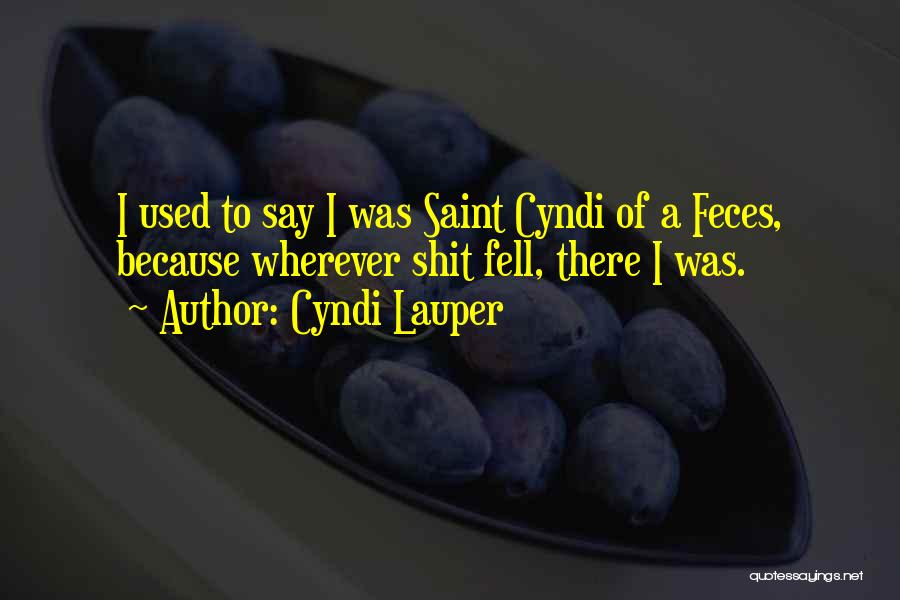 Cyndi Lauper Quotes: I Used To Say I Was Saint Cyndi Of A Feces, Because Wherever Shit Fell, There I Was.