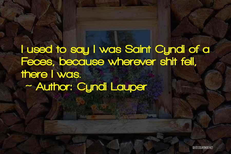 Cyndi Lauper Quotes: I Used To Say I Was Saint Cyndi Of A Feces, Because Wherever Shit Fell, There I Was.