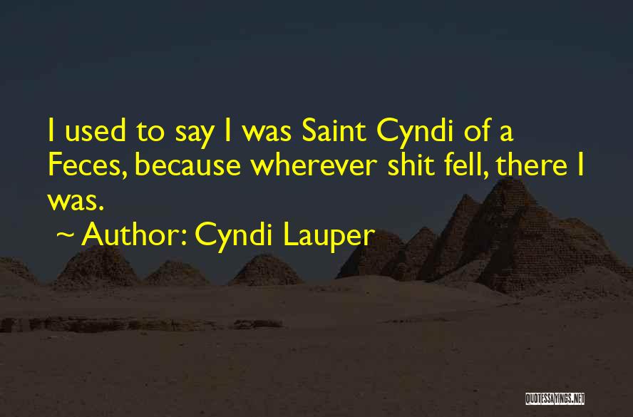 Cyndi Lauper Quotes: I Used To Say I Was Saint Cyndi Of A Feces, Because Wherever Shit Fell, There I Was.