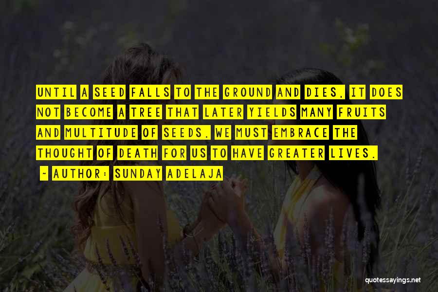 Sunday Adelaja Quotes: Until A Seed Falls To The Ground And Dies, It Does Not Become A Tree That Later Yields Many Fruits