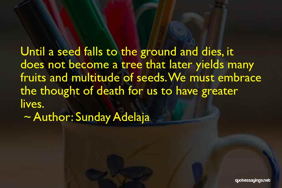 Sunday Adelaja Quotes: Until A Seed Falls To The Ground And Dies, It Does Not Become A Tree That Later Yields Many Fruits
