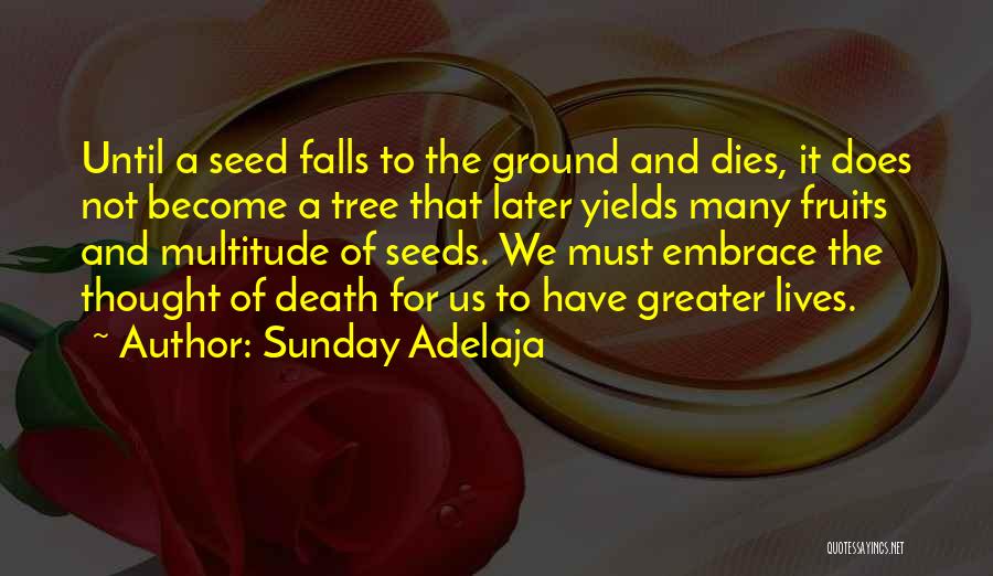 Sunday Adelaja Quotes: Until A Seed Falls To The Ground And Dies, It Does Not Become A Tree That Later Yields Many Fruits