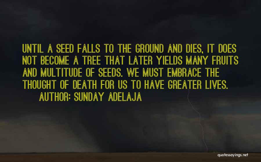 Sunday Adelaja Quotes: Until A Seed Falls To The Ground And Dies, It Does Not Become A Tree That Later Yields Many Fruits