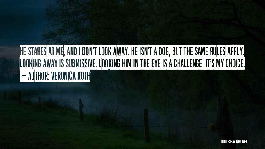 Veronica Roth Quotes: He Stares At Me, And I Don't Look Away. He Isn't A Dog, But The Same Rules Apply. Looking Away