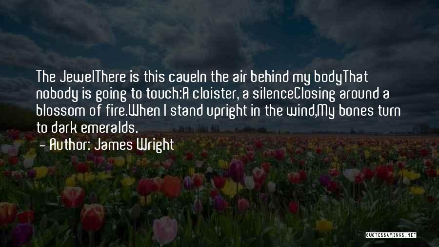 James Wright Quotes: The Jewelthere Is This Cavein The Air Behind My Bodythat Nobody Is Going To Touch:a Cloister, A Silenceclosing Around A