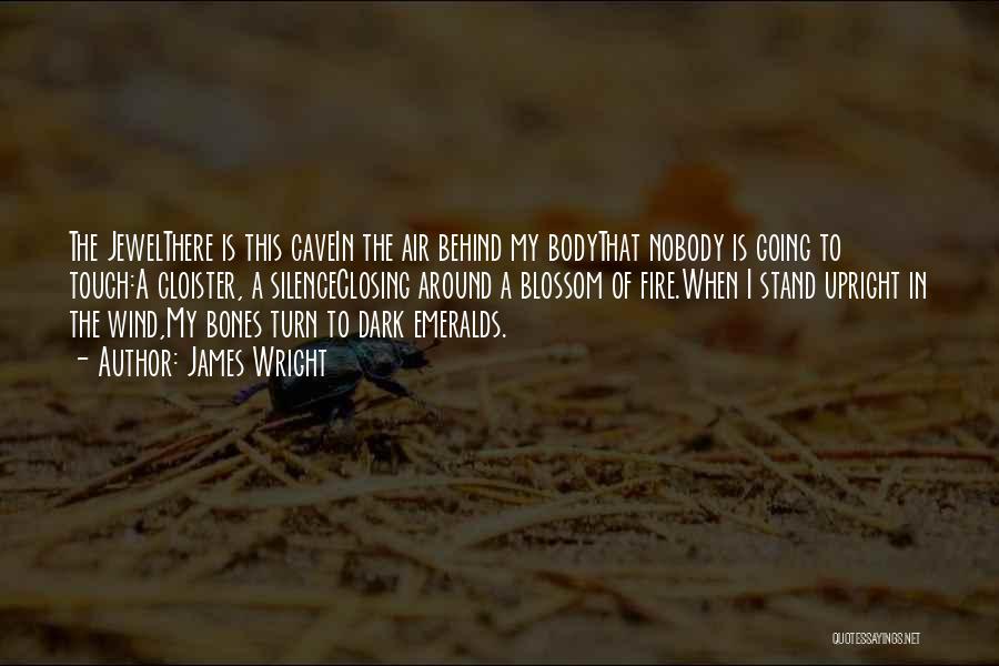 James Wright Quotes: The Jewelthere Is This Cavein The Air Behind My Bodythat Nobody Is Going To Touch:a Cloister, A Silenceclosing Around A