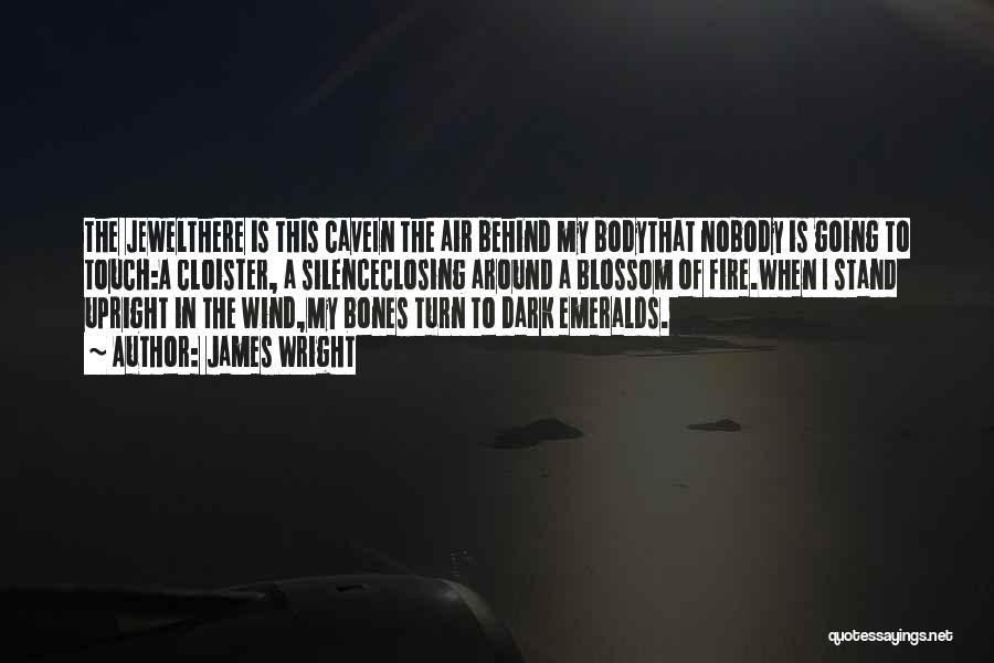 James Wright Quotes: The Jewelthere Is This Cavein The Air Behind My Bodythat Nobody Is Going To Touch:a Cloister, A Silenceclosing Around A