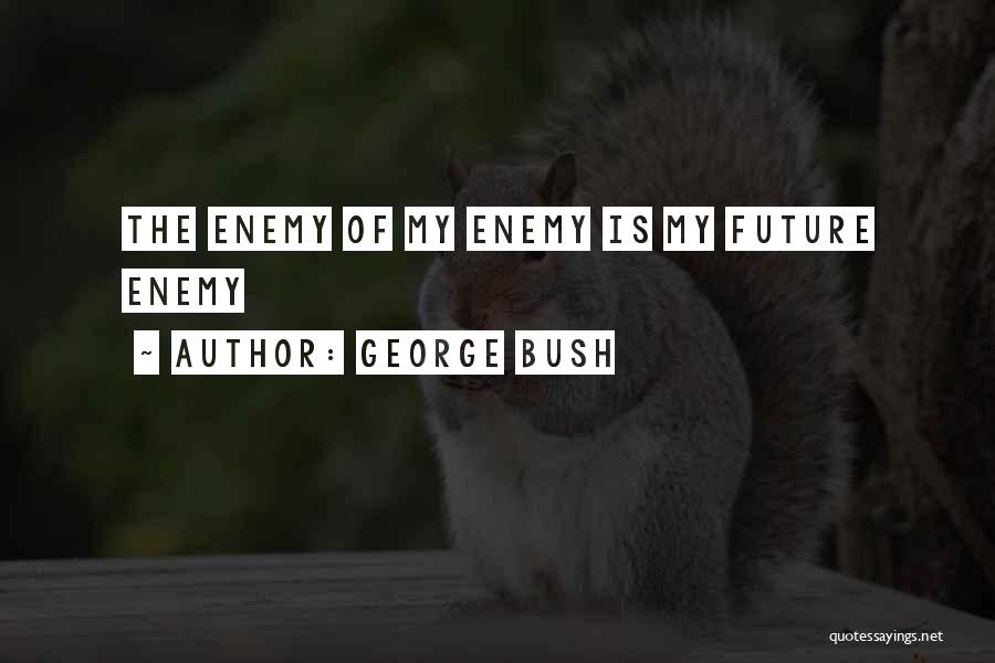 George Bush Quotes: The Enemy Of My Enemy Is My Future Enemy