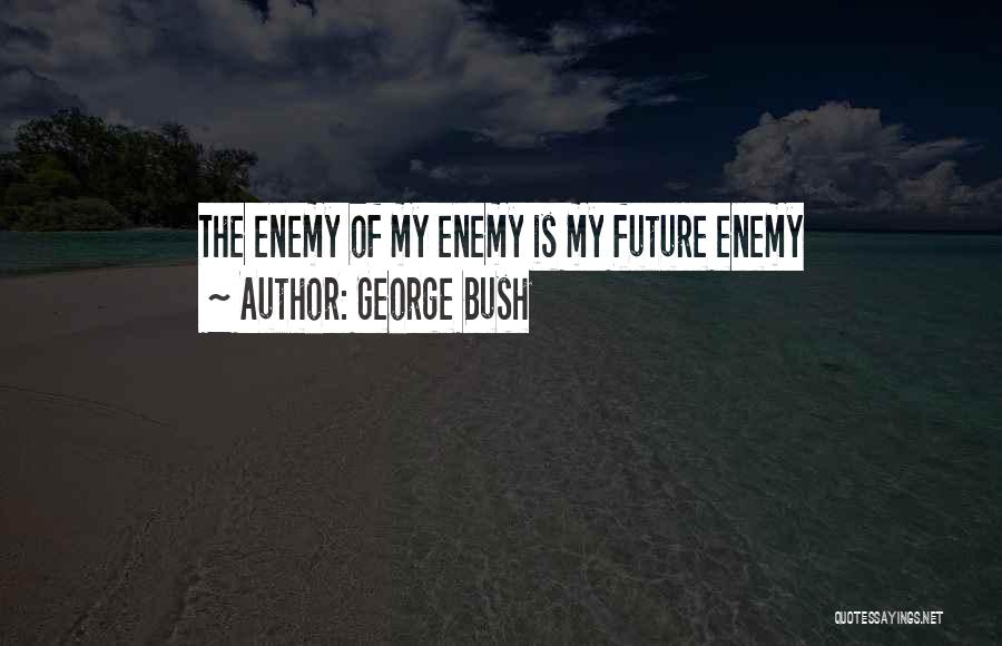 George Bush Quotes: The Enemy Of My Enemy Is My Future Enemy
