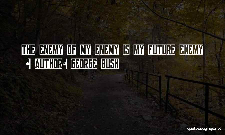 George Bush Quotes: The Enemy Of My Enemy Is My Future Enemy