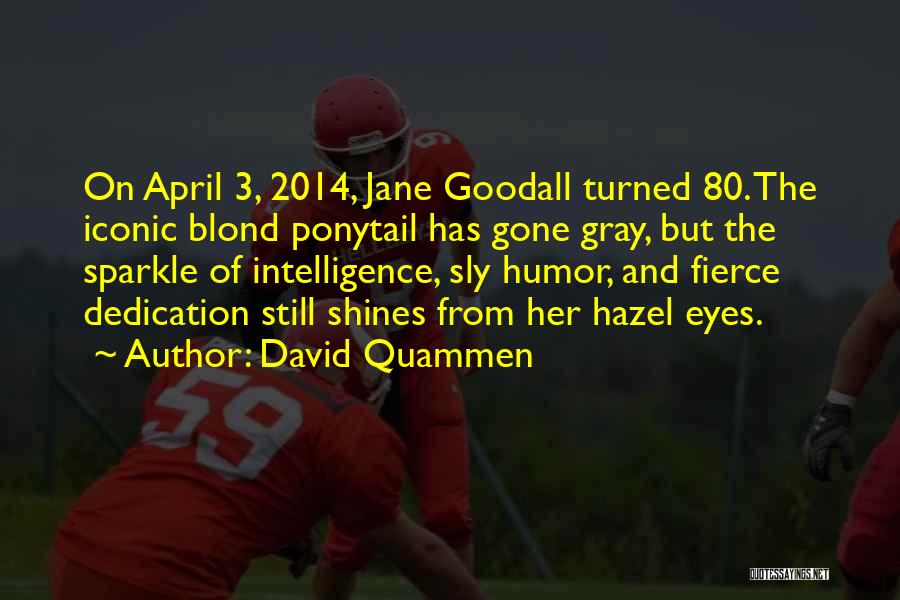 David Quammen Quotes: On April 3, 2014, Jane Goodall Turned 80. The Iconic Blond Ponytail Has Gone Gray, But The Sparkle Of Intelligence,