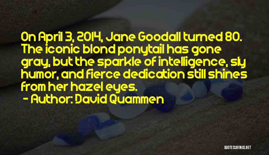 David Quammen Quotes: On April 3, 2014, Jane Goodall Turned 80. The Iconic Blond Ponytail Has Gone Gray, But The Sparkle Of Intelligence,