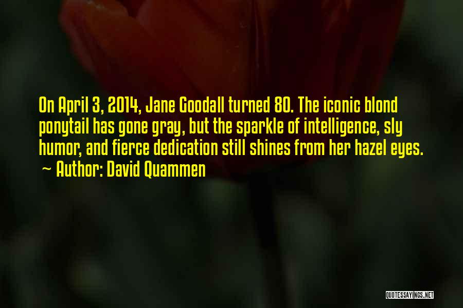 David Quammen Quotes: On April 3, 2014, Jane Goodall Turned 80. The Iconic Blond Ponytail Has Gone Gray, But The Sparkle Of Intelligence,