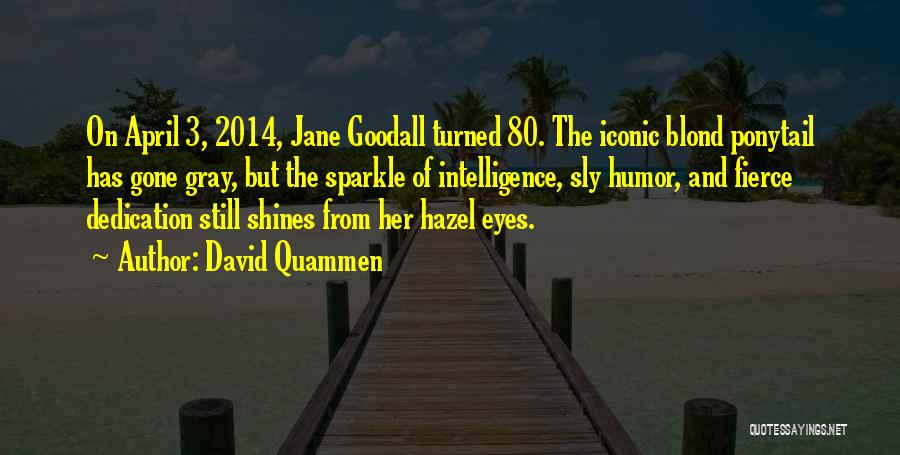 David Quammen Quotes: On April 3, 2014, Jane Goodall Turned 80. The Iconic Blond Ponytail Has Gone Gray, But The Sparkle Of Intelligence,