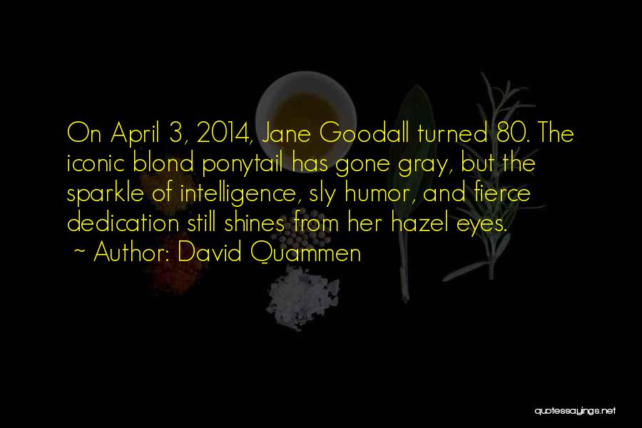 David Quammen Quotes: On April 3, 2014, Jane Goodall Turned 80. The Iconic Blond Ponytail Has Gone Gray, But The Sparkle Of Intelligence,