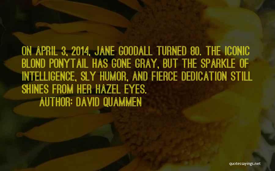 David Quammen Quotes: On April 3, 2014, Jane Goodall Turned 80. The Iconic Blond Ponytail Has Gone Gray, But The Sparkle Of Intelligence,