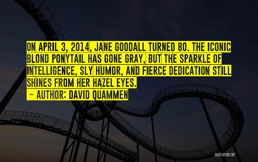 David Quammen Quotes: On April 3, 2014, Jane Goodall Turned 80. The Iconic Blond Ponytail Has Gone Gray, But The Sparkle Of Intelligence,
