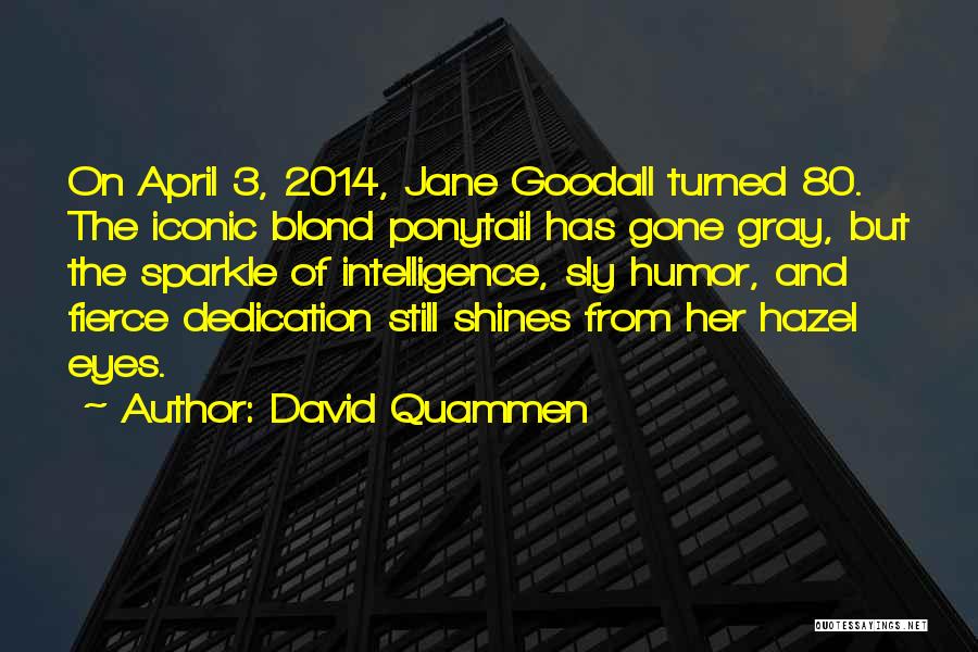 David Quammen Quotes: On April 3, 2014, Jane Goodall Turned 80. The Iconic Blond Ponytail Has Gone Gray, But The Sparkle Of Intelligence,