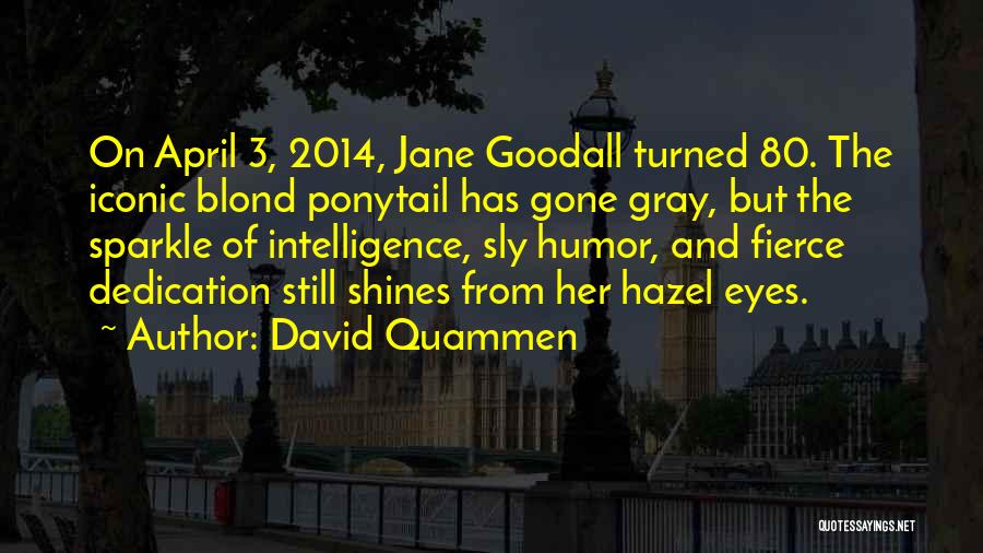 David Quammen Quotes: On April 3, 2014, Jane Goodall Turned 80. The Iconic Blond Ponytail Has Gone Gray, But The Sparkle Of Intelligence,