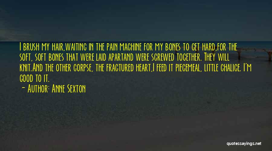 Anne Sexton Quotes: I Brush My Hair,waiting In The Pain Machine For My Bones To Get Hard,for The Soft, Soft Bones That Were